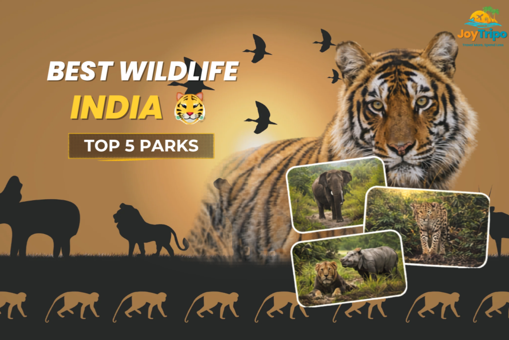 Best National Parks in India