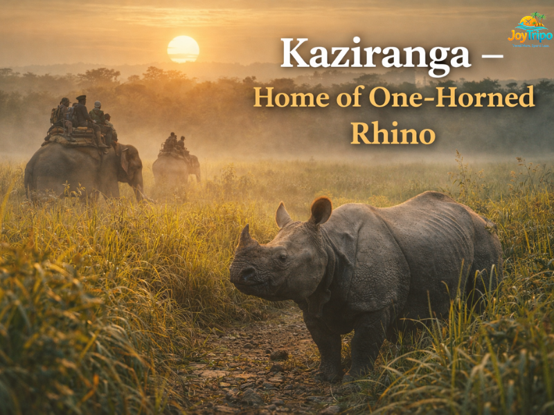 Best National Parks in India: Kaziranga - home of one-horned rhino