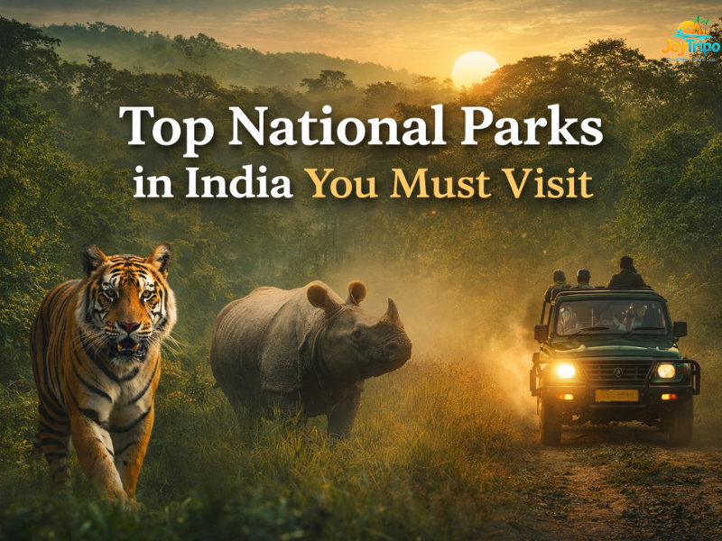 Best National Parks in India