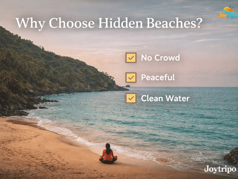 Hidden Beaches in Goa Away from the Crowds: why choose hidden beaches