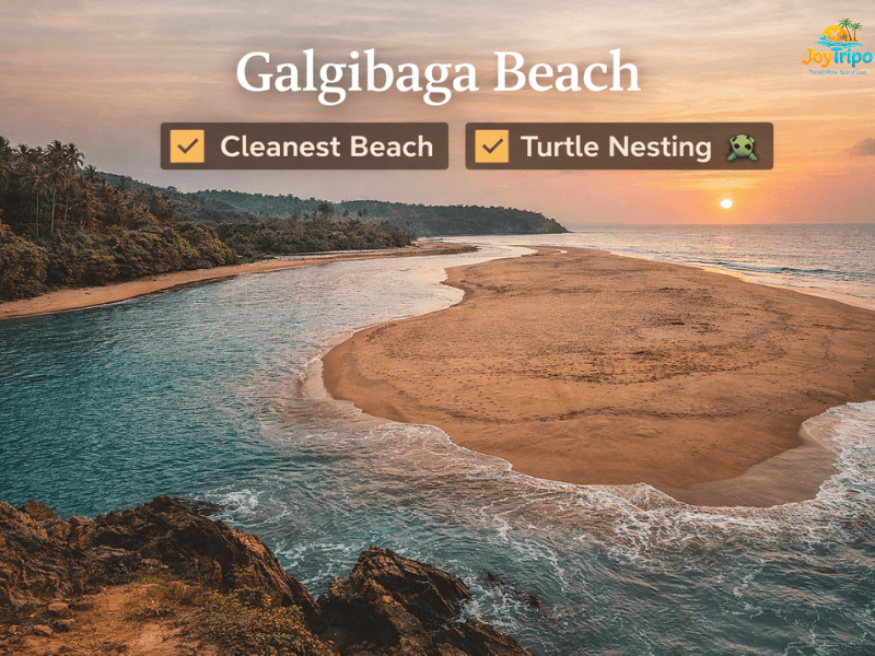 Hidden Beaches in Goa Away from the Crowds: Galgibaga beach