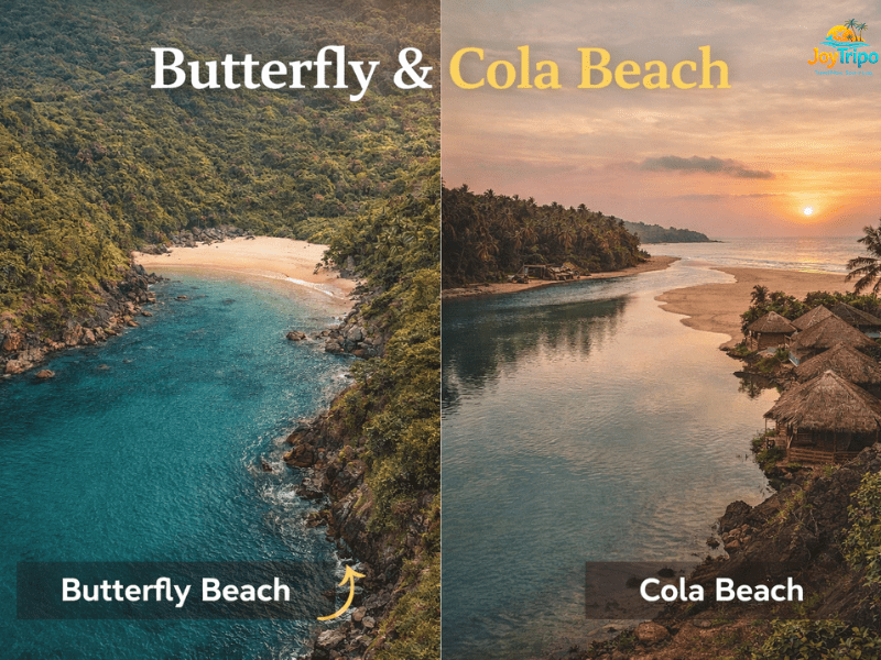 Hidden Beaches in Goa Away from the Crowds: Butterfly & Cola beach 