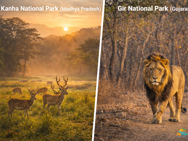 Top Wildlife Sanctuaries in India: Kanha national park ( Madhya Pradesh): Gir national park( Gujrat)