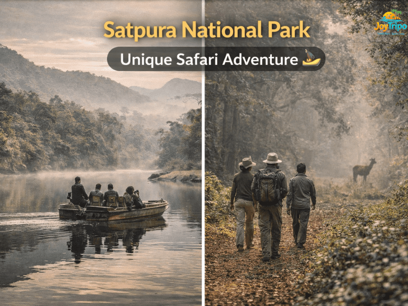Top Wildlife Sanctuaries in Madhya Pradesh: Satpura national park