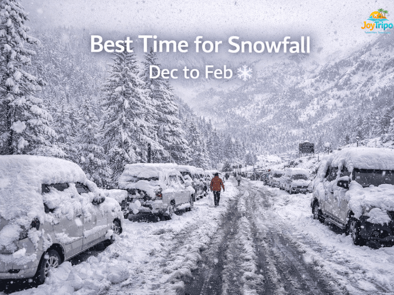 Best Time to Visit Manali: winter season in manali