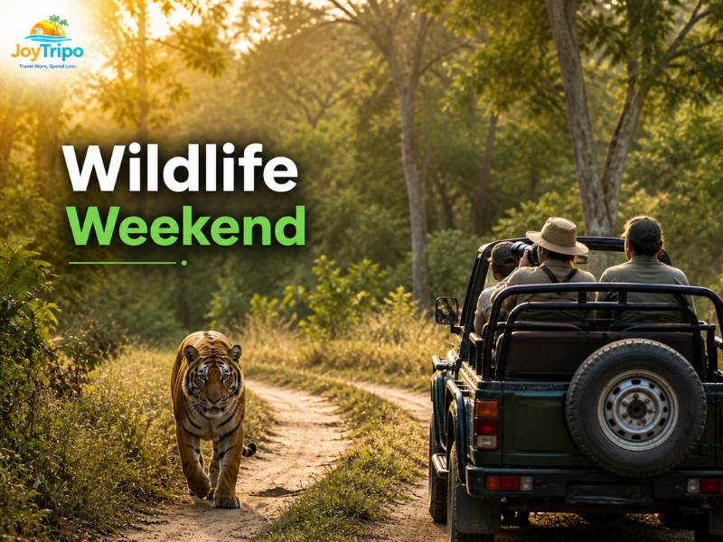 Best Weekend Getaways from Delhi NCR: Wildlife weekend 
