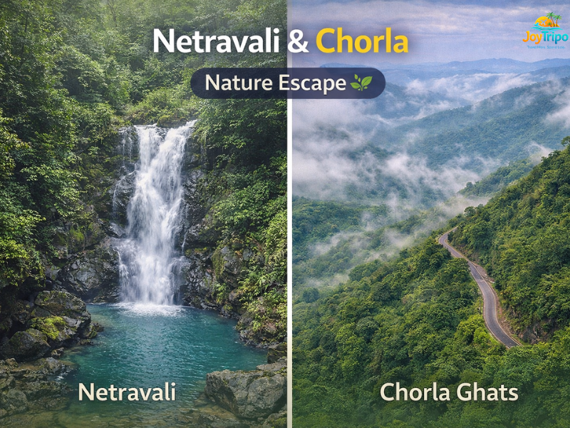 Budget-Friendly Hidden Places in Goa: netravali & Chorla wildlife sanctuary