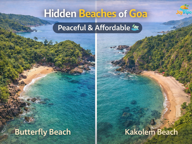 Budget-Friendly Hidden Places in Goa: buterfly beach