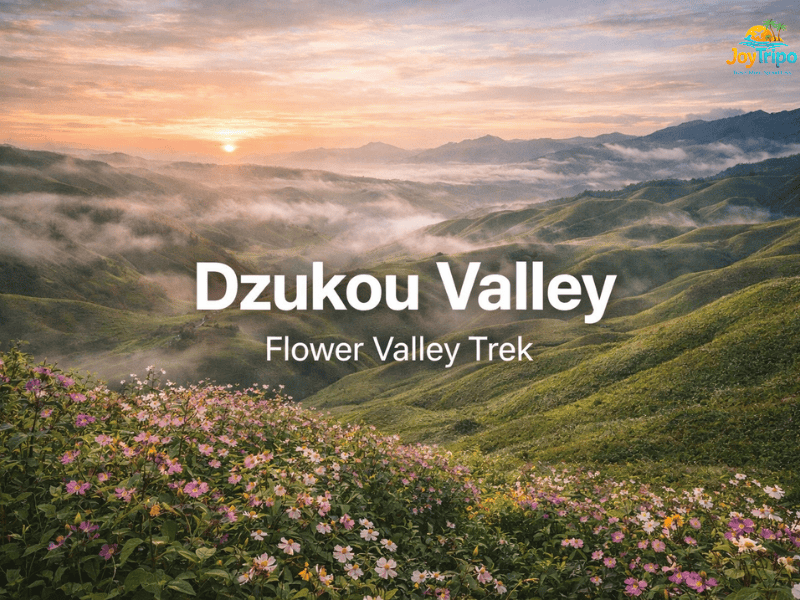 Hidden Places in India: dzukou valley - flower valley trek 