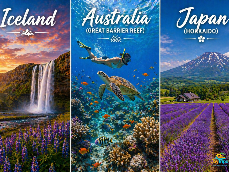Top Summer Destinations in the World: Iceland, Austrailia, Japan